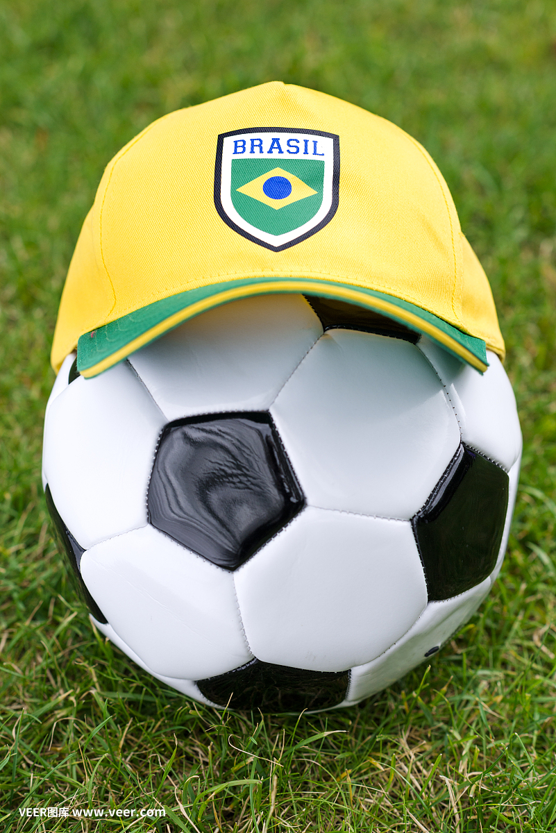 职业成功的 职业成功的